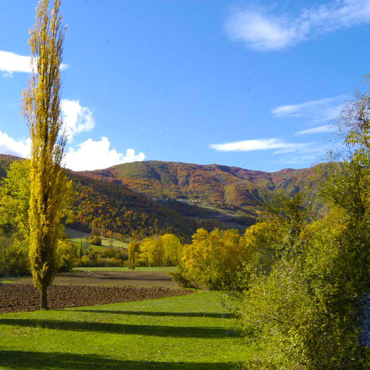 Relaxation & Wellness Relaxation & Wellness